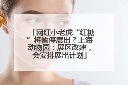 网红小老虎“红糖”将暂停展出？上海动物园：展区改建，会安排展出计划