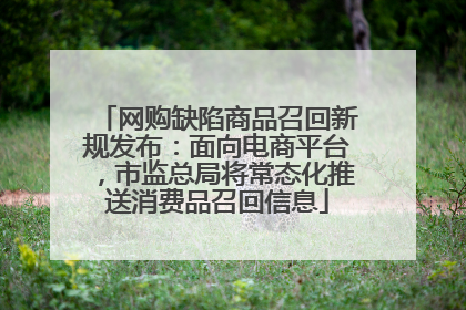 网购缺陷商品召回新规发布：面向电商平台，市监总局将常态化推送消费品召回信息