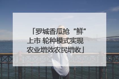 罗城香瓜抢“鲜”上市 轮种模式实现农业增效农民增收