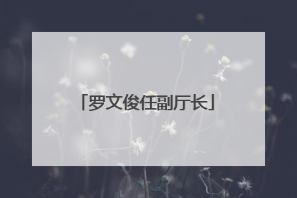 罗文俊任副厅长