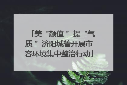 美“颜值 ”提“气质 ”济阳城管开展市容环境集中整治行动