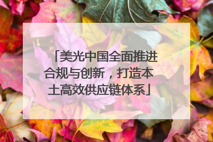 美光中国全面推进合规与创新，打造本土高效供应链体系