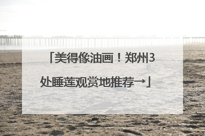 美得像油画！郑州3处睡莲观赏地推荐→