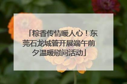 粽香传情暖人心！东莞石龙城管开展端午前夕温暖慰问活动