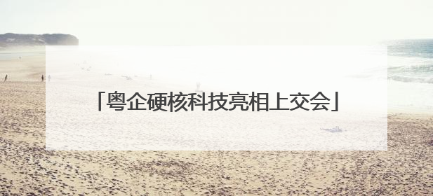 粤企硬核科技亮相上交会