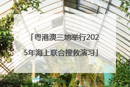粤港澳三地举行2025年海上联合搜救演习