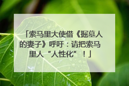 索马里大使借《掘墓人的妻子》呼吁：请把索马里人“人性化”！