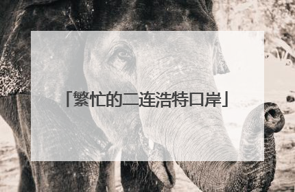 繁忙的二连浩特口岸