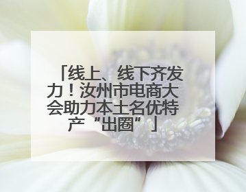 线上、线下齐发力！汝州市电商大会助力本土名优特产“出圈”