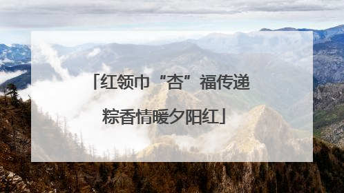红领巾“杏”福传递 粽香情暖夕阳红