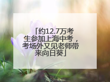 约12.7万考生参加上海中考，考场外又见老师带来向日葵