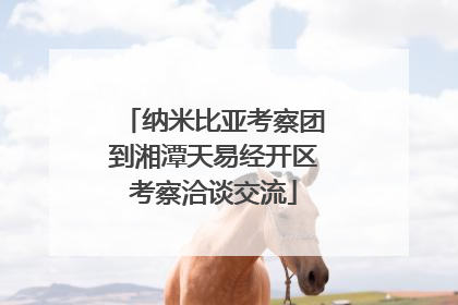 纳米比亚考察团到湘潭天易经开区考察洽谈交流