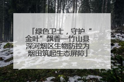 绿色卫士，守护“金叶”飘香—竹山县深河烟区生物防控为烟田筑起生态屏障