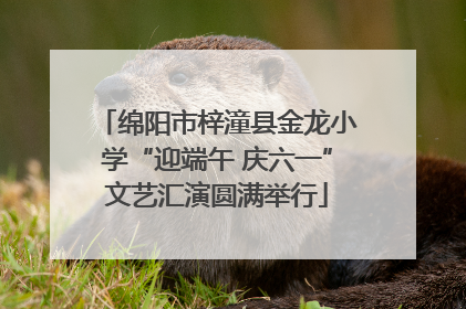 绵阳市梓潼县金龙小学“迎端午 庆六一”文艺汇演圆满举行