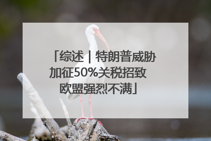 综述｜特朗普威胁加征50%关税招致欧盟强烈不满