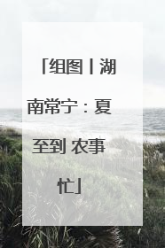 组图丨湖南常宁：夏至到 农事忙