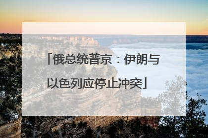 俄总统普京：伊朗与以色列应停止冲突