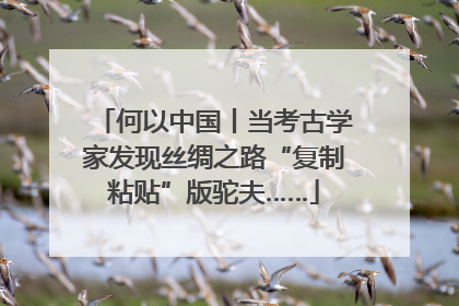 何以中国丨当考古学家发现丝绸之路“复制粘贴”版驼夫……