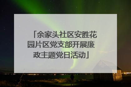 余家头社区安胜花园片区党支部开展廉政主题党日活动