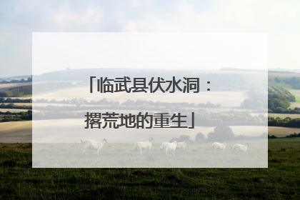 临武县伏水洞：撂荒地的重生