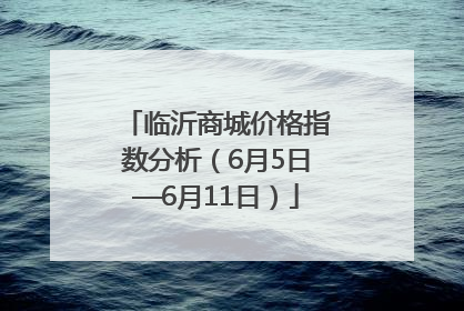 临沂商城价格指数分析（6月5日—6月11日）