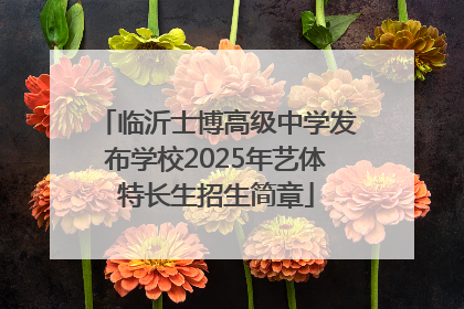 临沂士博高级中学发布学校2025年艺体特长生招生简章