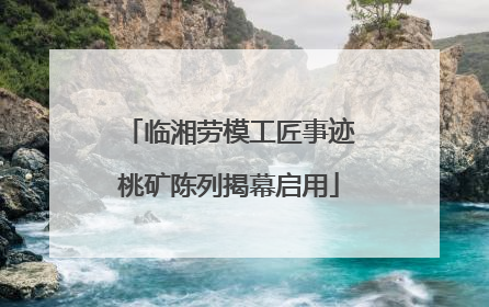 临湘劳模工匠事迹桃矿陈列揭幕启用