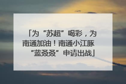 为“苏超”喝彩，为南通加油！南通小江豚“蓝叒叒”申请出战