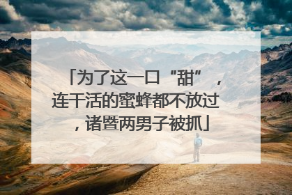 为了这一口“甜”，连干活的蜜蜂都不放过，诸暨两男子被抓