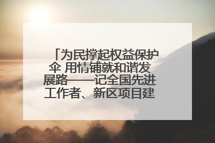 为民撑起权益保护伞 用情铺就和谐发展路——记全国先进工作者、新区项目建设中心干部卢小勇