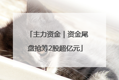 主力资金｜资金尾盘抢筹2股超亿元