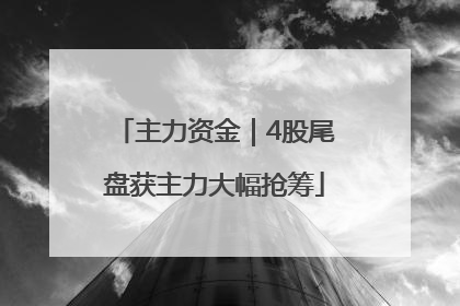 主力资金｜4股尾盘获主力大幅抢筹