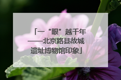 一“眼”越千年——北京路县故城遗址博物馆印象