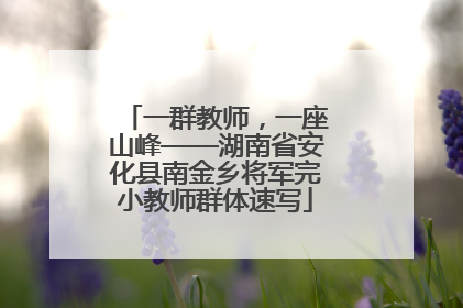 一群教师，一座山峰——湖南省安化县南金乡将军完小教师群体速写