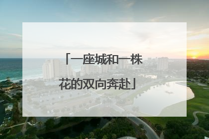 一座城和一株花的双向奔赴