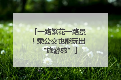 一路繁花一路景！乘公交也能玩出“旅游感”