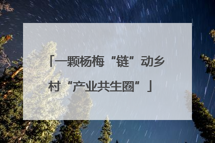 一颗杨梅“链”动乡村“产业共生圈”