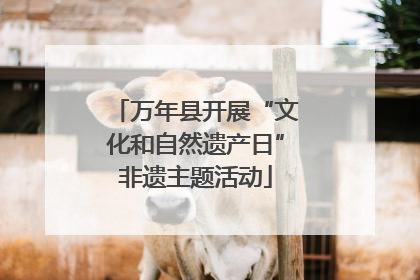 万年县开展“文化和自然遗产日”非遗主题活动