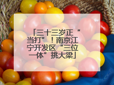 三十三岁正“当打”！南京江宁开发区“三位一体”挑大梁