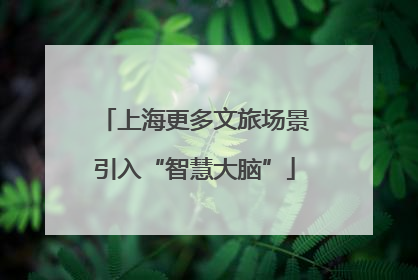 上海更多文旅场景引入“智慧大脑”