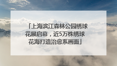 上海滨江森林公园绣球花展启幕，近5万株绣球花海打造治愈系画面