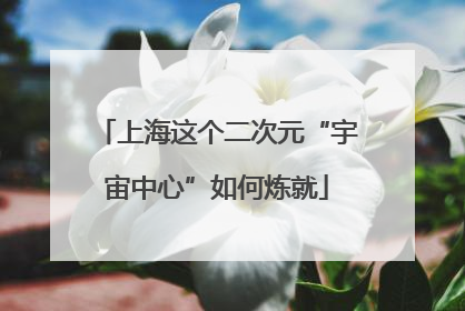 上海这个二次元“宇宙中心”如何炼就