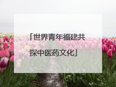 世界青年福建共探中医药文化
