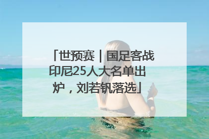 世预赛｜国足客战印尼25人大名单出炉，刘若钒落选