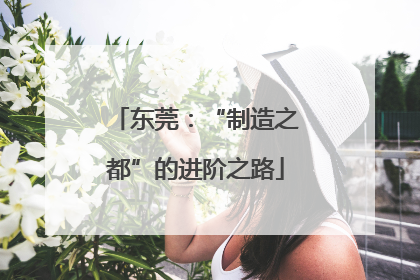 东莞：“制造之都”的进阶之路