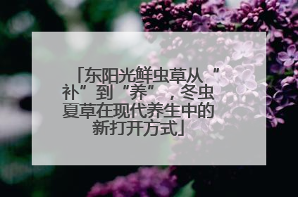 东阳光鲜虫草从“补”到“养”，冬虫夏草在现代养生中的新打开方式