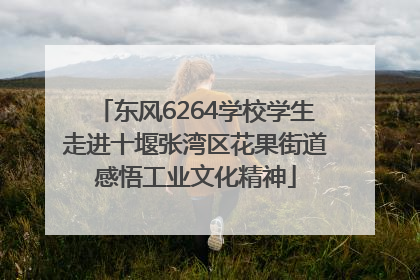 东风6264学校学生走进十堰张湾区花果街道感悟工业文化精神