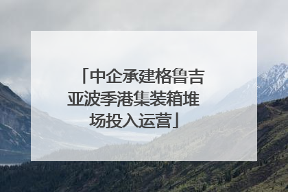 中企承建格鲁吉亚波季港集装箱堆场投入运营