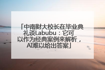 中南财大校长在毕业典礼谈Labubu：它可以作为经典案例来解析，AI难以给出答案