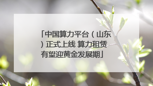中国算力平台（山东）正式上线 算力租赁有望迎黄金发展期